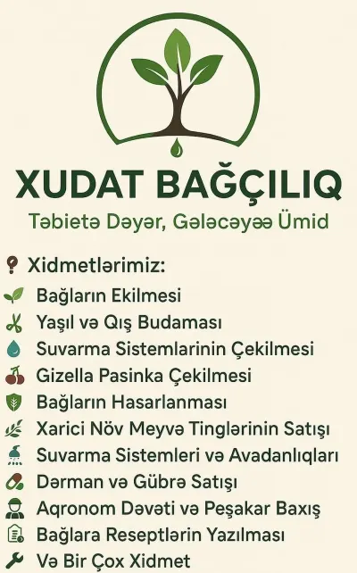 BAĞBAN XİDMƏTİ — Kənd/Təs Xidmətləri, Xaçmaz